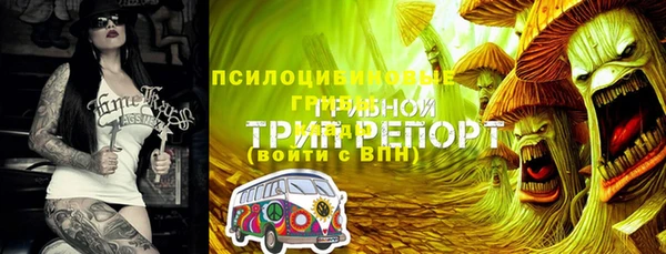 mdpv Михайлов