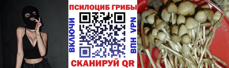 Псилоцибиновые грибы MAGIC MUSHROOMS  Черногорск 