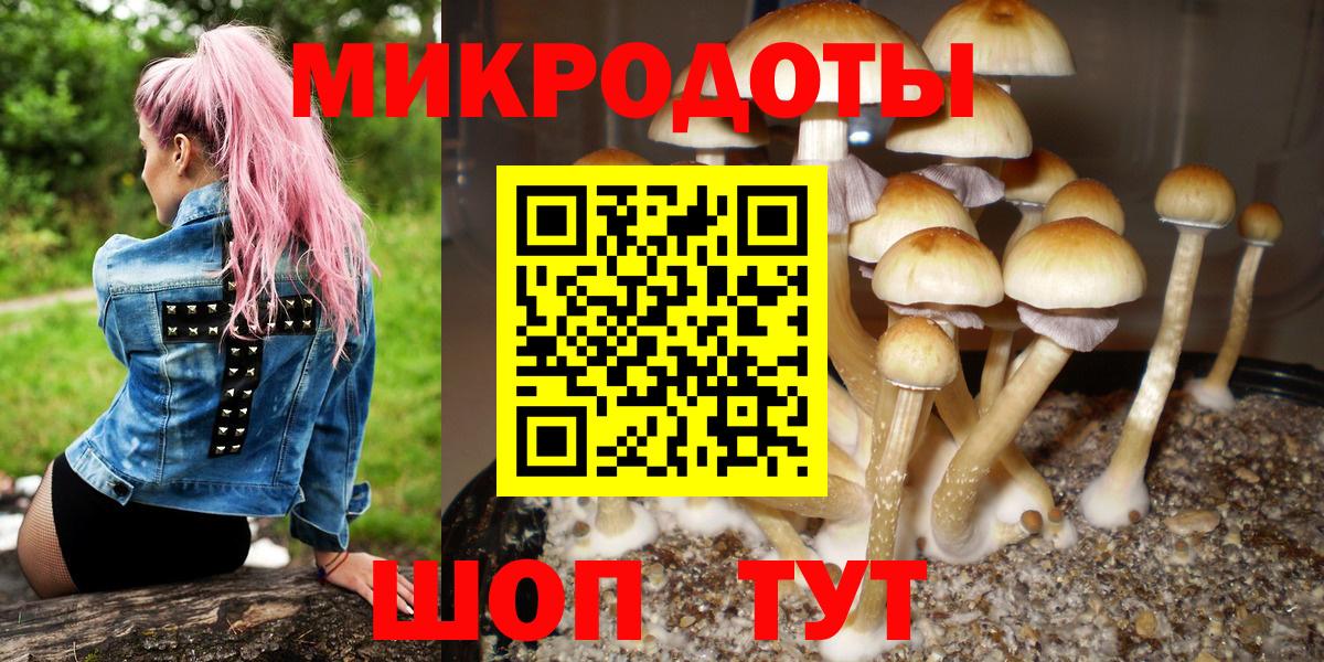 Черногорск  Галлюциногенные грибы мицелий  Вход с VPN 